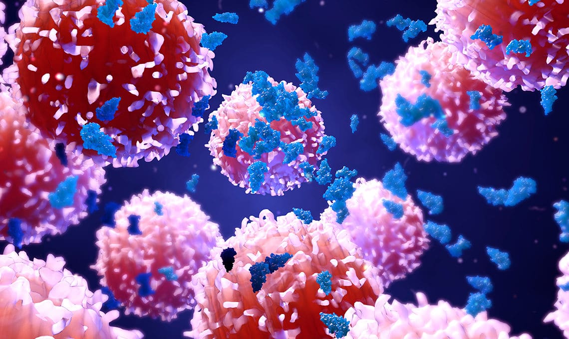 3D rendering of cancer cells