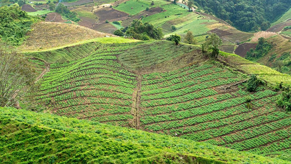 Innovators use satellite data to boost farming and climate resilience