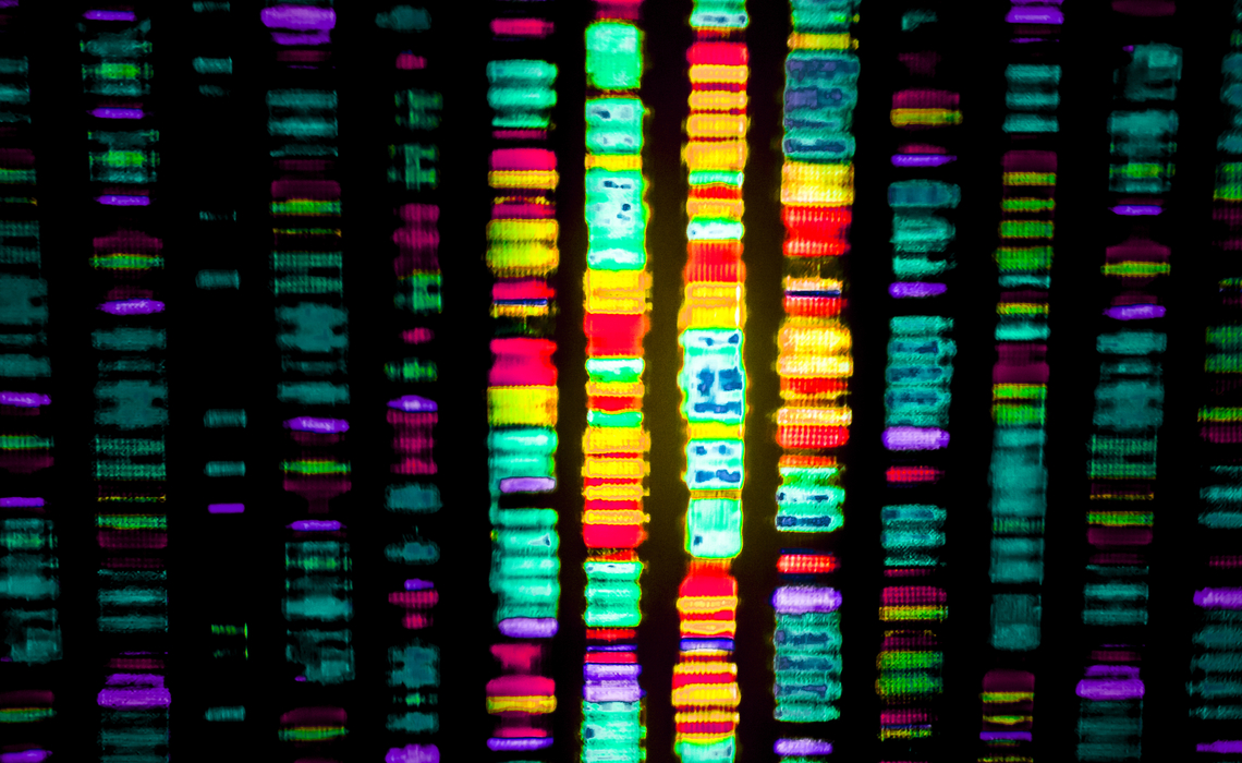 Human DNA sequence