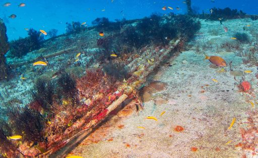 undersea fibre optic cables